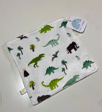 Load image into Gallery viewer, Dinosaur Minis Crinkle Toy