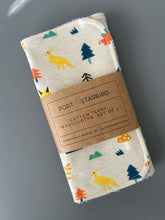 Load image into Gallery viewer, Tiny Dinos Cotton Flannel Terry Wash Cloths, set of 3